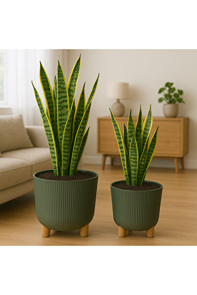 okacih 2'li Modern Stick Line Saksı Akıllı Altlıklı 25 Litre