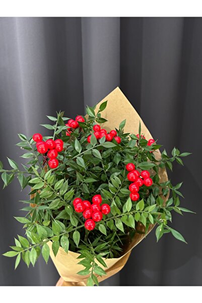 Kuru Çiçek Deposu Kokina Yılbaşı Çiçeği 50 cm – Doğal Dallı Yapay Boncuklu Yılbaşı Dekoru- 6 Dal