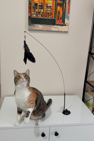 Petolojim Zilli Tüylü Vantuzlu Kedi Oyuncağı