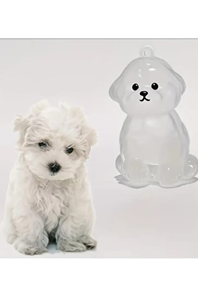 Yaratıcı sanatlar atölyesi Capsulă transparentă de depozitare a părului de câ...