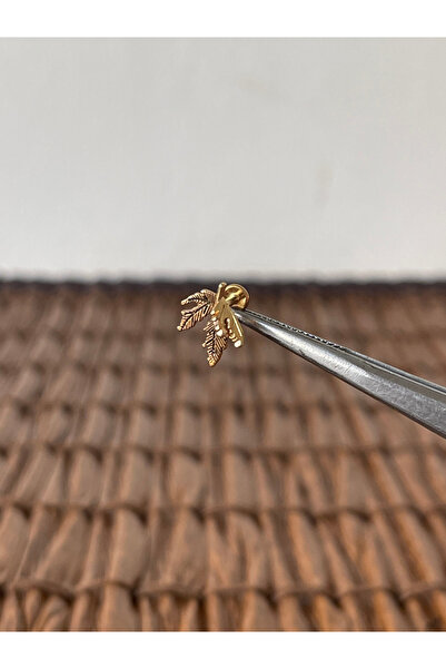 Rupen Kraft 316 L Cerrahi Çelik Uçan Yaprak Altın Tragus Helix Piercing