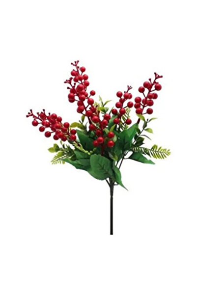Rosella Barucci Yılbaşı Için 6 Dal Yapay Kokina Çiçeği