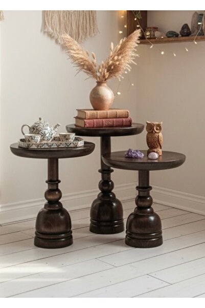 ASELYA HOME Doğal Ahşap 3’lü Set Mantar Yan Sehpa Modern Koyu Ceviz Fiskos Zi...