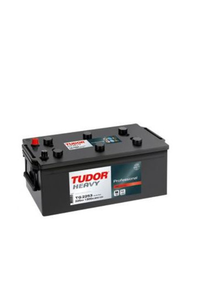 TG2253 12V 225AH 1200A D06 (518X279X240) START PRO