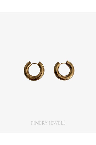 Pinery Jewels زوج من الأقراط الدائرية المصنوعة من الفولاذ المقاوم للصدأ