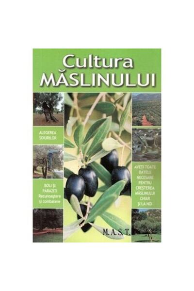 MAST Cultura Măslinului