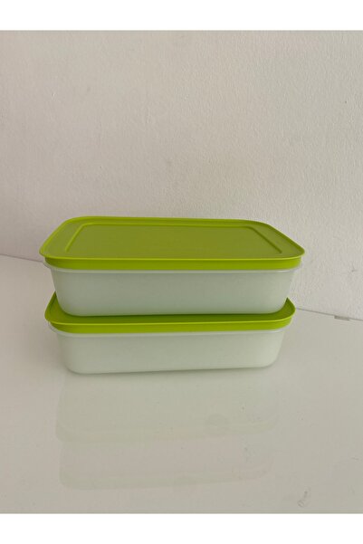 Tupperware Alaska Storage Container Set of 2