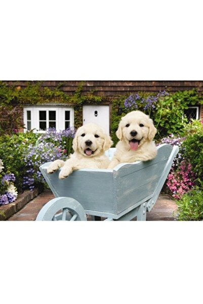 Anatolian Puzzle Marka: 3310 Anatolian Bahçıvan Köpekler / 260 Parça Puzzle K...