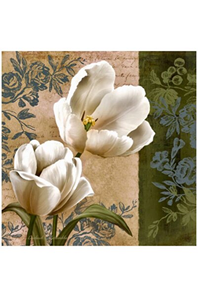 Rölyef Sanat Evi Kâğıt Rölyef Poster - Çiçek Resimleri - 35x40 (8 ADET)