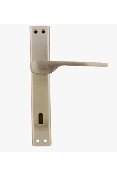 Dooraks Gökçe Kapı Kolu Aynalı Nikel Saten Oda