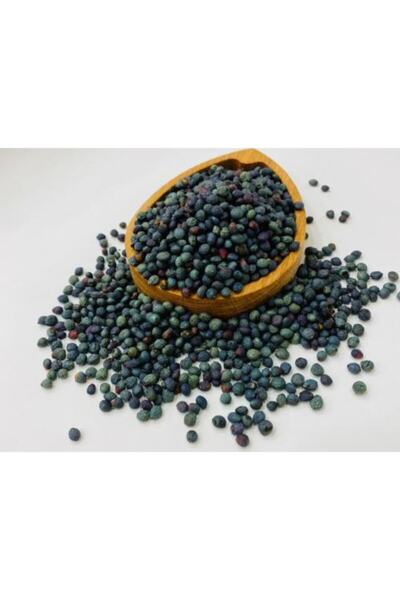 DENİZLİ KURUYEMİŞ Çitlenbik [çetene,menengiç][500gr]