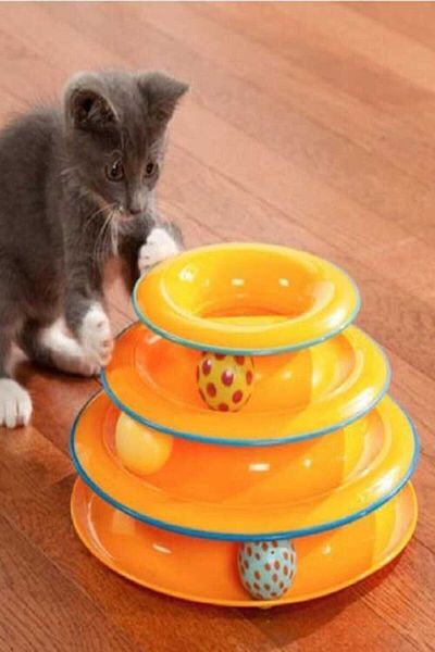 Kirmizi Kedi Taragi Fircasi Modelleri Fiyatlari Trendyol