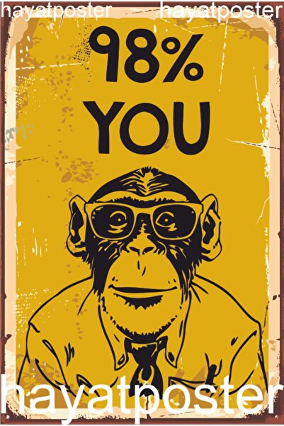 Hayat Poster 98% Evolution You Are Chimpanzee - Ρετρό Vintage ξύλινη αφίσα