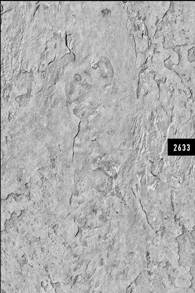 Natural Wall212 2633 Duvar Desen Duvar Kağıdı 5,00 M²