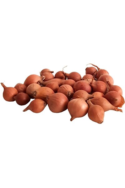 tazece Arpacık Soğan 500 Gr