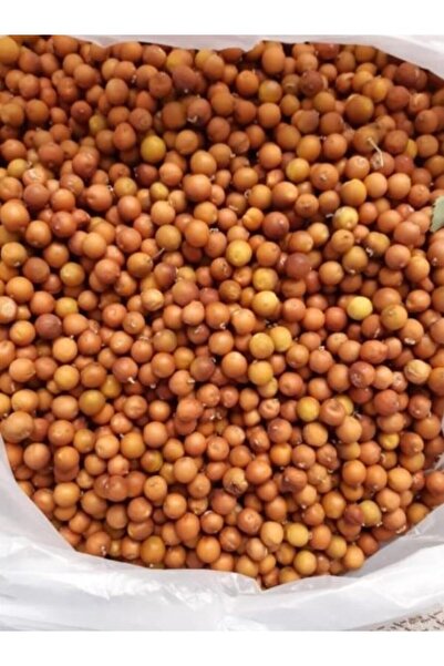 OrganikAVM Elazığ Doğal Dardağan 1 Kg