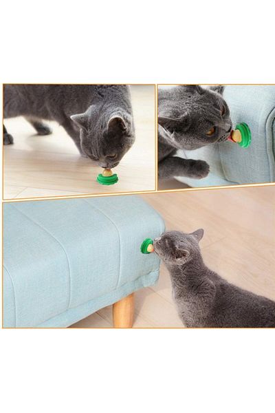 Pratik Licking Candy Ball with Catnip