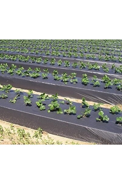 Doğalsan Tarım Sebze Naylonu 1.20x20 Metre