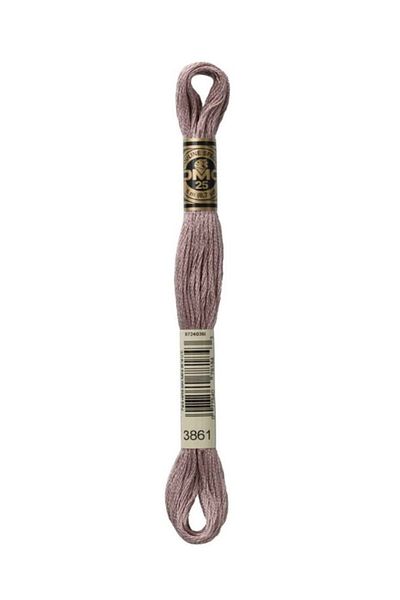 Dmc Muline Embroidery Thread 1-3866