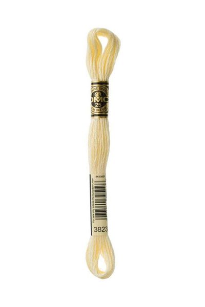 Dmc Muline Embroidery Thread 1-3866