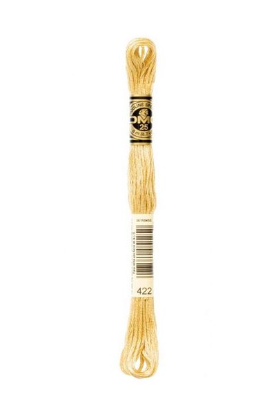 Dmc Muline Embroidery Thread 1-3866