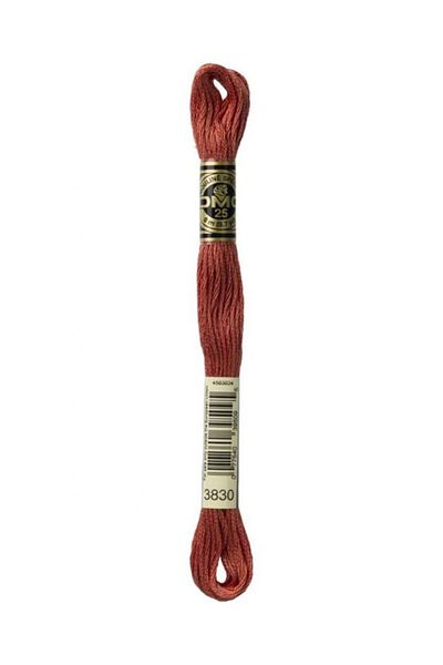 Dmc Muline Embroidery Thread 1-3866