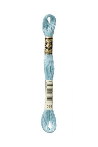 Dmc Muline Embroidery Thread 1-3866