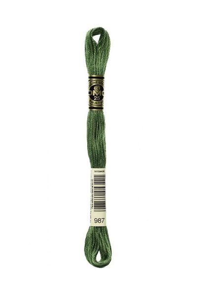 Dmc Muline Embroidery Thread 1-3866