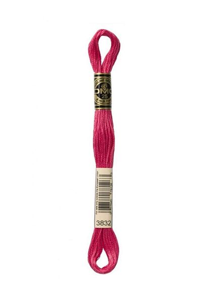 Dmc Muline Embroidery Thread 1-3866