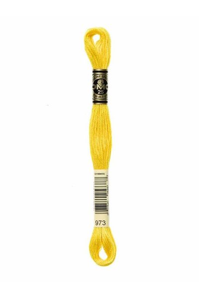 Dmc Muline Embroidery Thread 1-3866