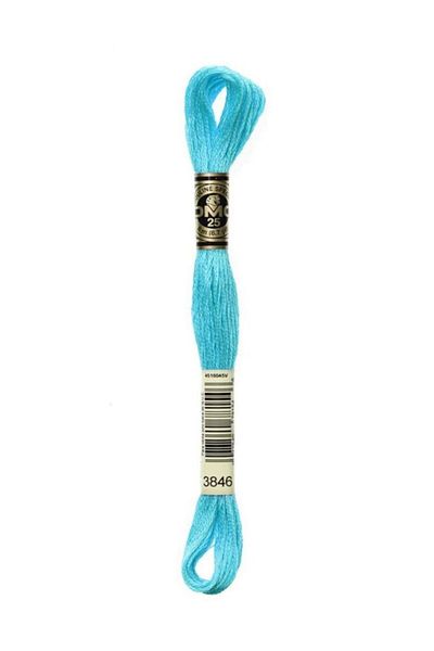 Dmc Muline Embroidery Thread 1-3866