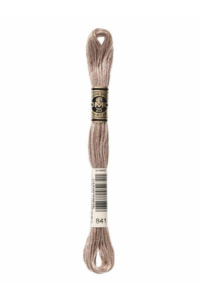 Dmc Muline Embroidery Thread 1-3866