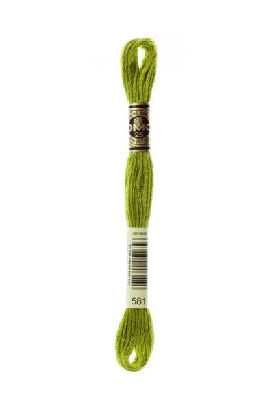 Dmc Muline Embroidery Thread 1-3866