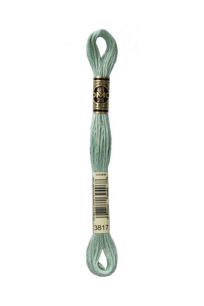 Dmc Muline Embroidery Thread 1-3866
