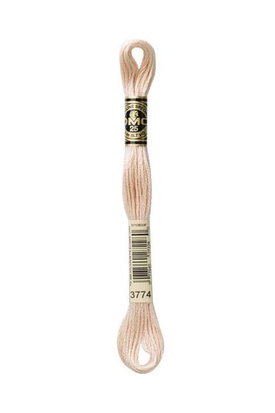 Dmc Muline Embroidery Thread 1-3866