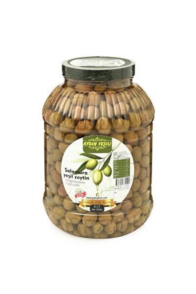 Aydın Yeşili Doğal Salamura Yeşil Çizik Zeytin 5 Lt ( Net 3500 Gr)