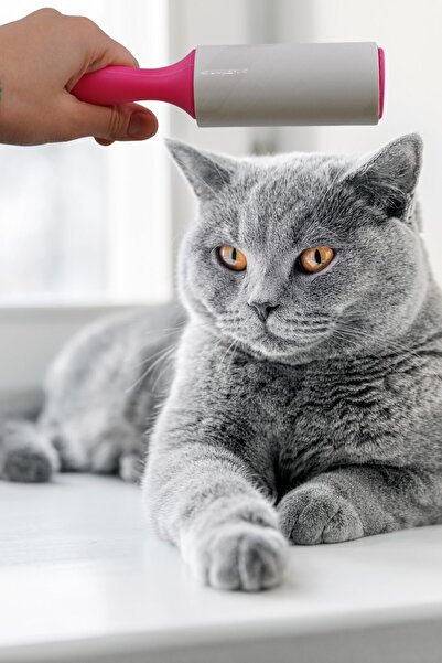 Buffer 2 Pieces 50 Sheets Practical Hair Removal and Dust Cleaning Roller