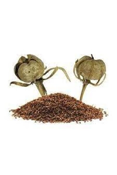 Köy Tohumları 20 Adet Tohum Üzerlik Tütsü Egzotik Kokulu Nazar Otu