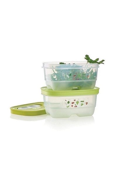 Tupperware 375 Ml Greenhouse Set of 2 Vegetable and Fruit Storage Container - Hsgl
