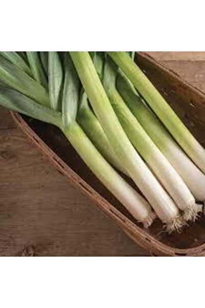 Köy Tohumları 100 Adet Tohum Yeşil Prasa Pırasa Tohumu Ata Tohum Sürpriz Hedi...