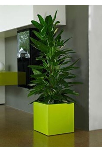 SAKSI ADASI Kare Fiber Saksı 50x50x50 Turkuaz