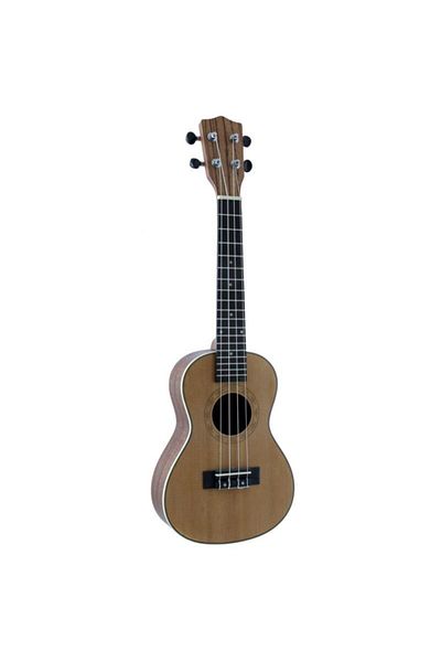 LEA Con 8 Concert Ukulele and Carrying Bag