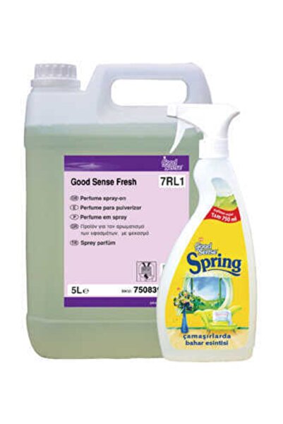 Diversey Good Sense Spring Oda ve Çamaşır Kokusu 5 lt