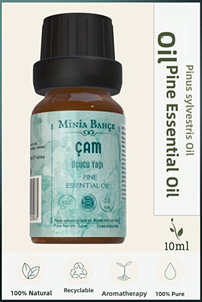 Minia Bahçe Bitki ve Sanat Atölyesi زيت شجرة الصنوبر العطري النقي 100% - 10 مل