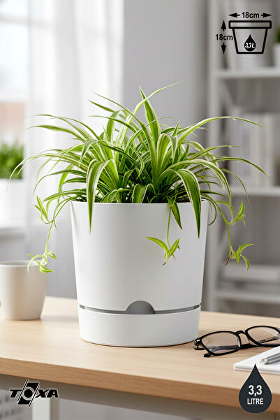 ToXA 3.3 Litre Beyaz Begonya Saksı Tabaklı Dekoratif Mat Plastik Saksı