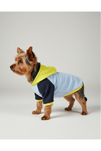 Luli Pet Hooded Fleece Dog Sweatshirt