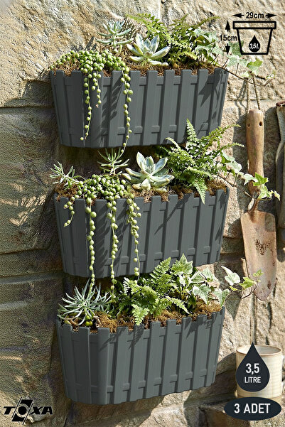 ToXA 3 Adet Akasya Duvar Saksısı Seti 3,5 Litre 30cm Drenajlı Bahçe Balkon Pl...