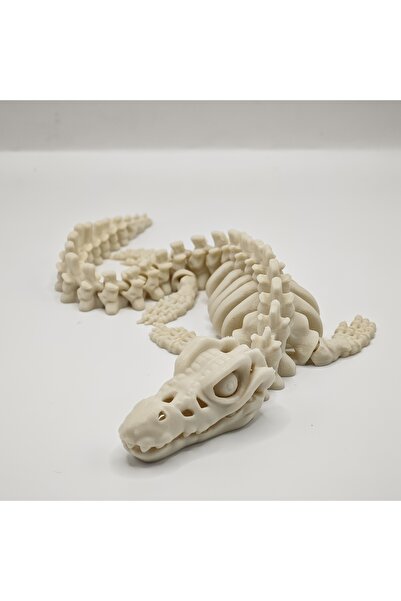 Choice مجسم هيكل عظمي واقعي لديناصور كانغلونغ من إم وايت - نموذج هيكل عظمي كب...