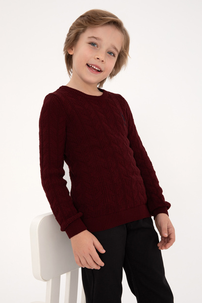 U.S. Polo Assn. سترة أساسية للأولاد باللون العنابي برقبة دائرية 50315638-VR014