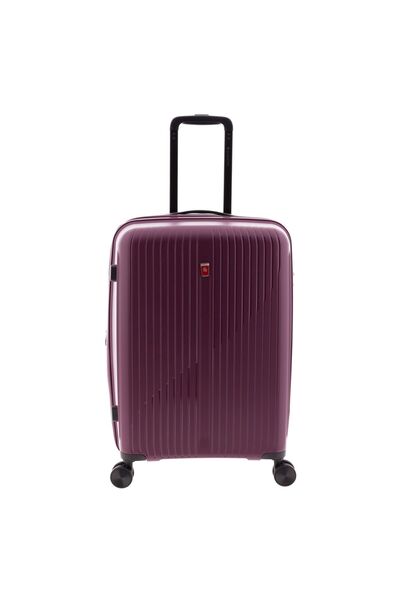 Gladiator 5000 4 Rollen Troley 63 cm mit Dehnfalte